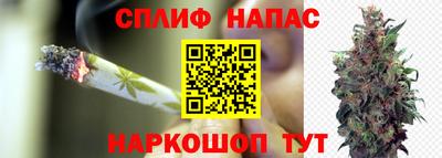 тгк Рыбинск